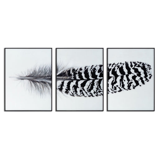 Black Striped Feather Over 3 Black Glass Frames - MILES AND BRIGGS