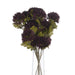 Chocolate Chrysanthemum - MILES AND BRIGGS