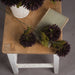 Chocolate Chrysanthemum - MILES AND BRIGGS