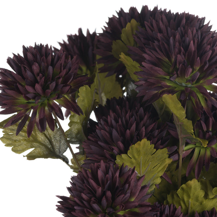 Chocolate Chrysanthemum - MILES AND BRIGGS