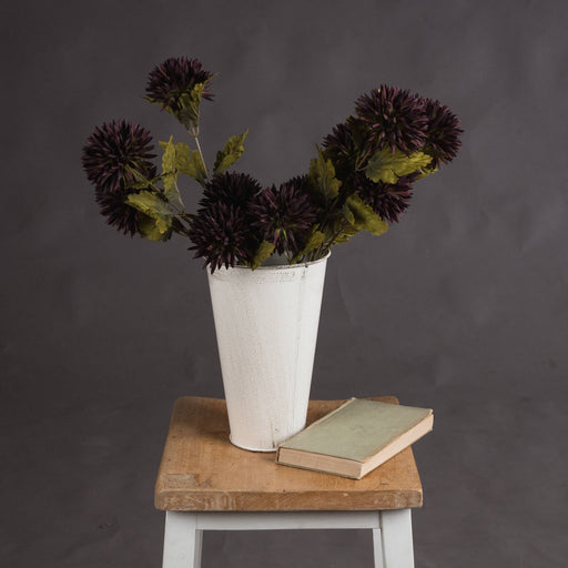 Chocolate Chrysanthemum - MILES AND BRIGGS