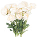 Cream Ranunculus - MILES AND BRIGGS