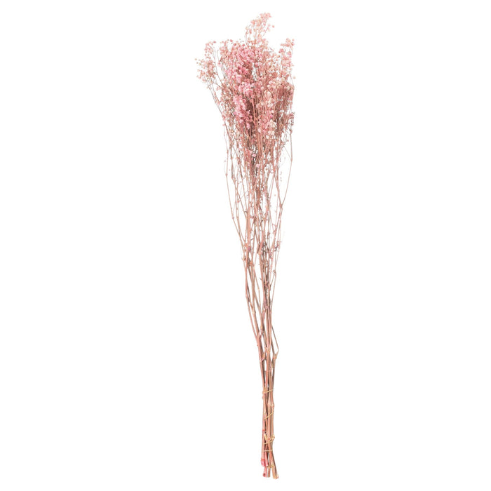 Dried Pale Pink Babys Breath Bunch - MILES AND BRIGGS