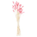 Dried Pale Pink Bunny Tail Bunch Of 40 - MILES AND BRIGGS