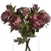 Dusty Pink Spray Rose Peony - MILES AND BRIGGS